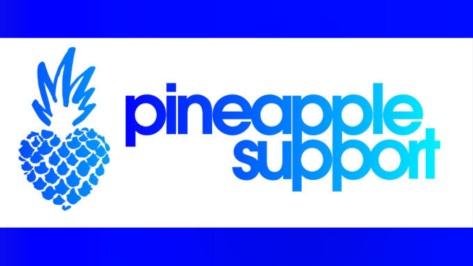 Pineapple Support to Host Online Course on Managing Stress