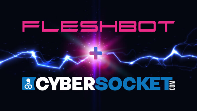 Cybersocket Merges With Fleshbot Gay